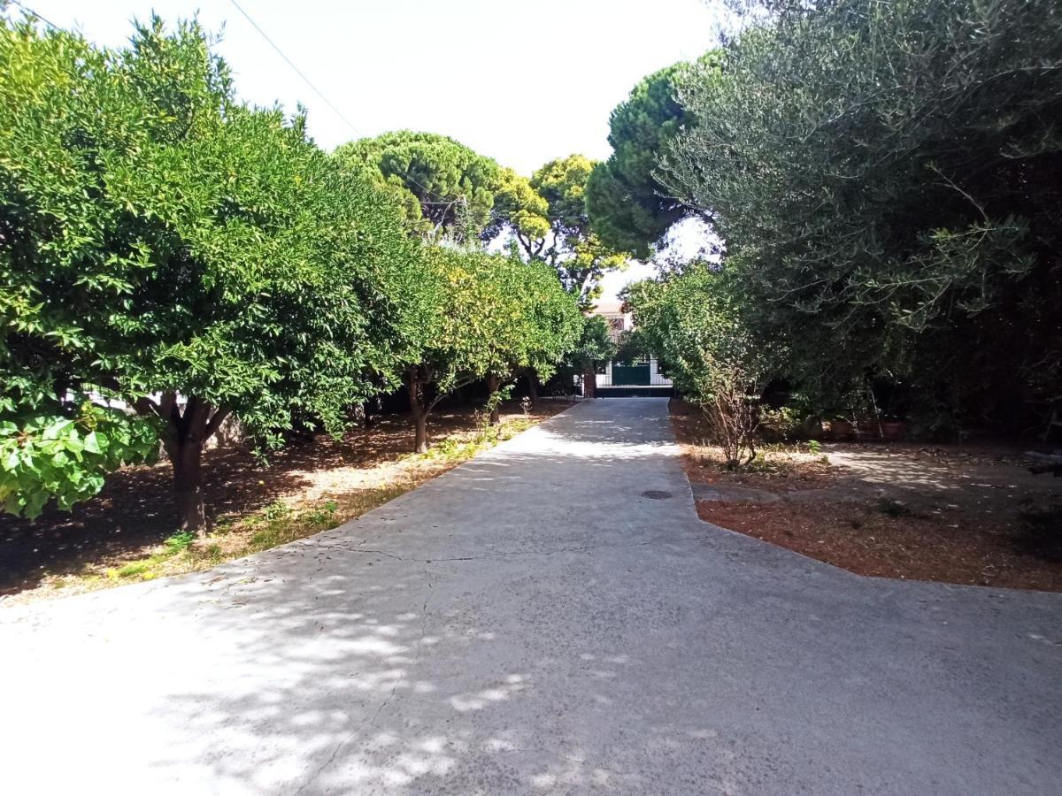 Σπίτι Στο Ρίο Πατρών Με Κήπο - Detached House In Rio With Garden Apartamento Exterior foto