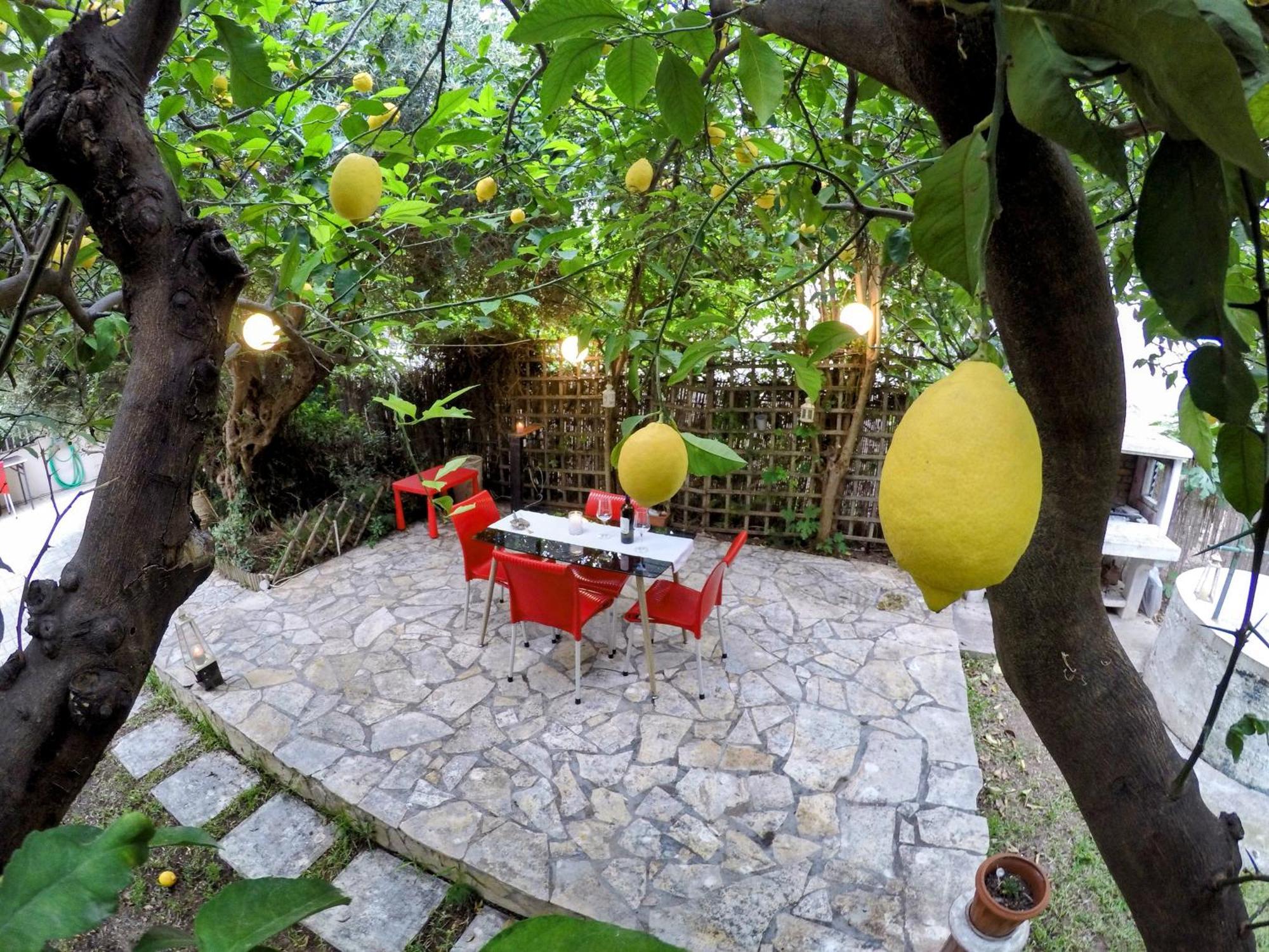Σπίτι Στο Ρίο Πατρών Με Κήπο - Detached House In Rio With Garden Apartamento Exterior foto